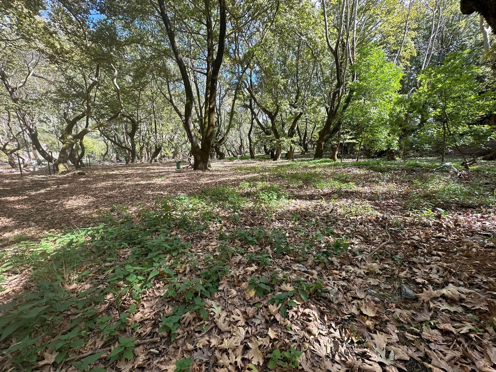 3 + 1 Φθινοπωρινoί προορισμοί